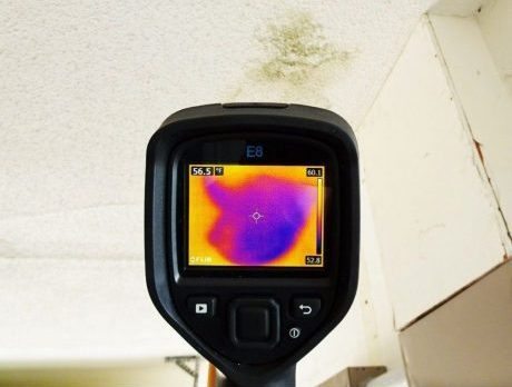 FLIR Infrared Camera