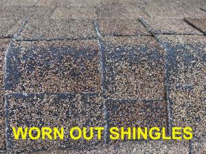Roof System Inspection