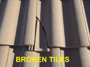 Roof System Inspection