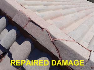Roof System Inspection
