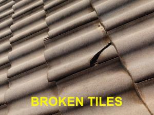 Roof System Inspection