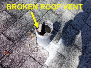 Roof System Inspection