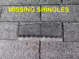 Roof System Inspection