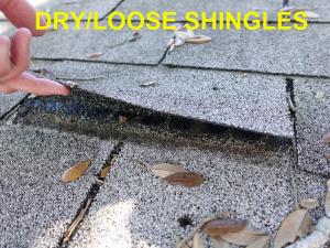 Roof System Inspection