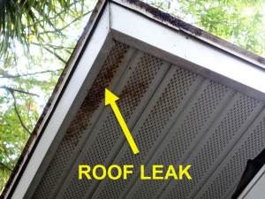 Roof System Inspection