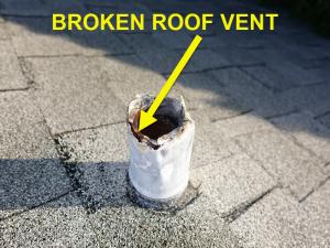 Roof System Inspection