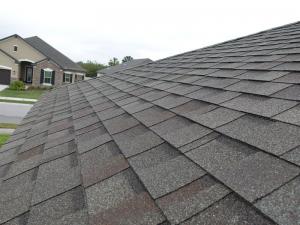 Roof System Inspection