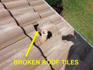 Roof System Inspection
