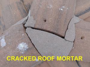 Roof System Inspection