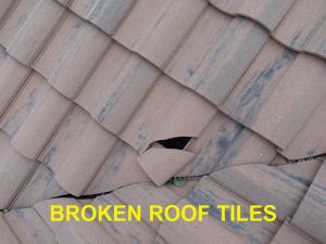 Roof System Inspection
