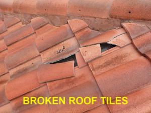 Roof System Inspection