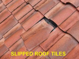 Roof System Inspection