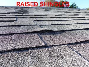 Roof System Inspection