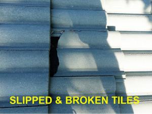 Roof System Inspection