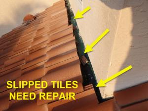 Roof System Inspection