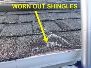 Roof System Inspection