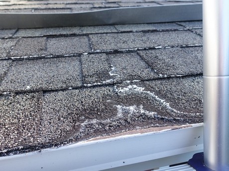 Roof System
