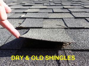 Roof System Inspection