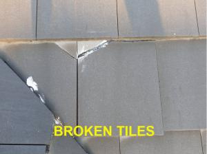 Roof System Inspection