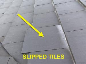 Roof System Inspection