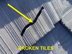 Roof System Inspection