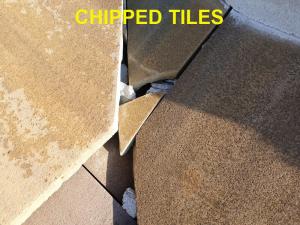 Roof System Inspection