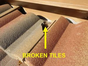 Roof System Inspection