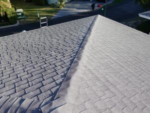 Roof System Inspection