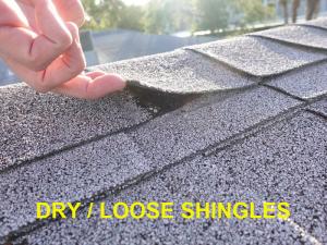 Roof System Inspection