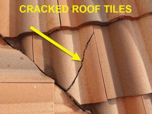 Roof System Inspection