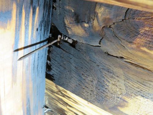 ATTIC Inspection Sarasota