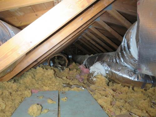 ATTIC Inspection Sarasota
