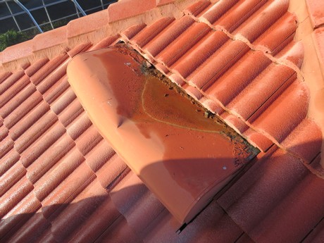 Roof System